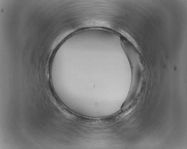 X0000067400885200604281905