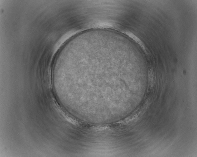 X0000067400886200604281905