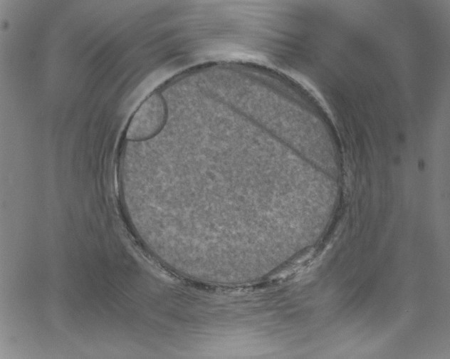 X0000067400887200604281905