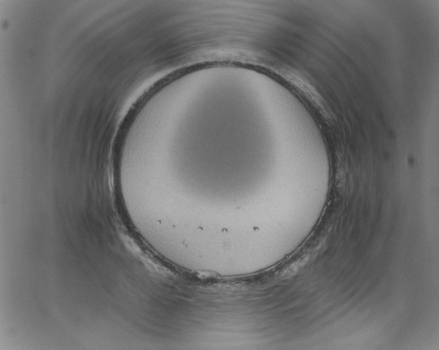 X0000067400888200604281905