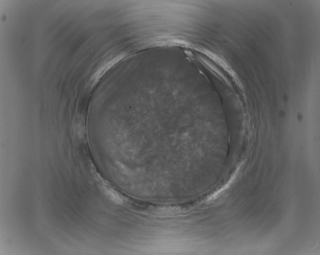 X0000067400889200604281905