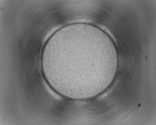 X0000067400890200604281905