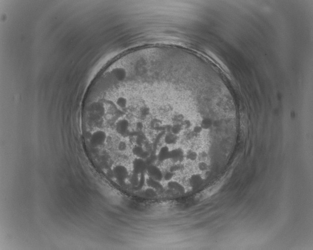 X0000067400891200604281905