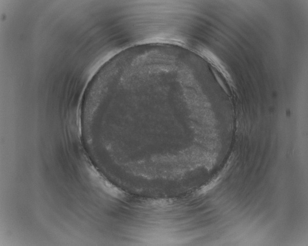 X0000067400892200604281905