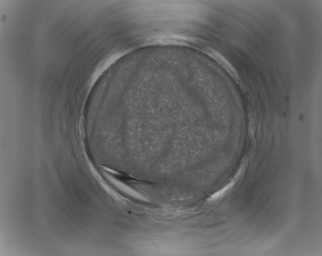 X0000067400893200604281905