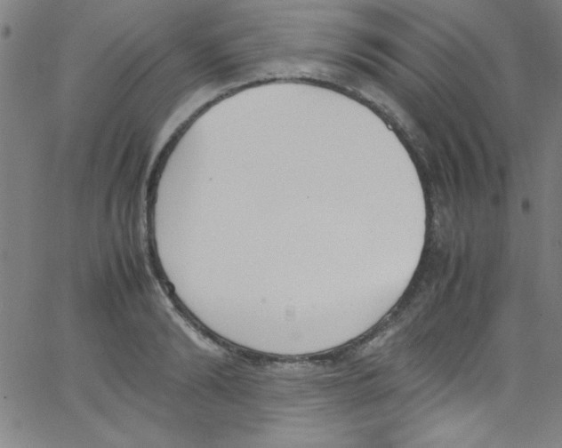 X0000067400894200604281905