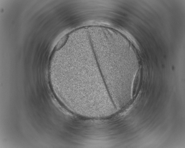 X0000067400896200604281905