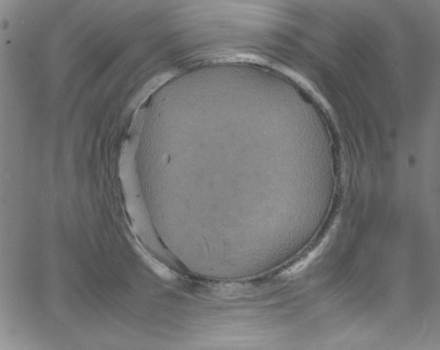 X0000067400897200604281905