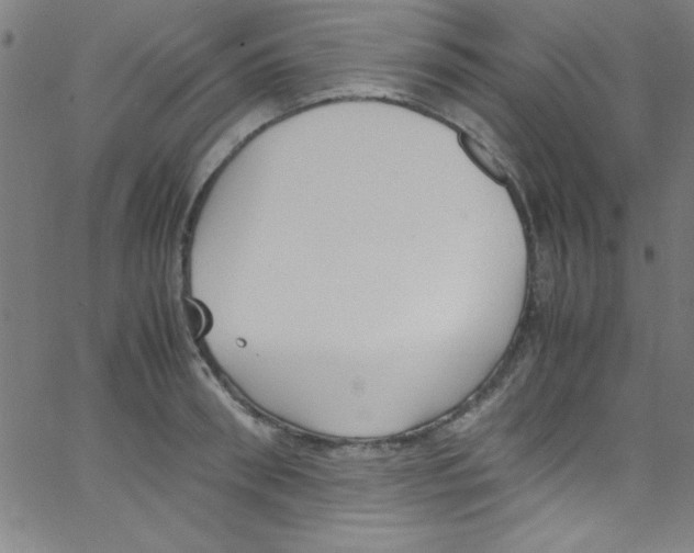 X0000067400898200604281905