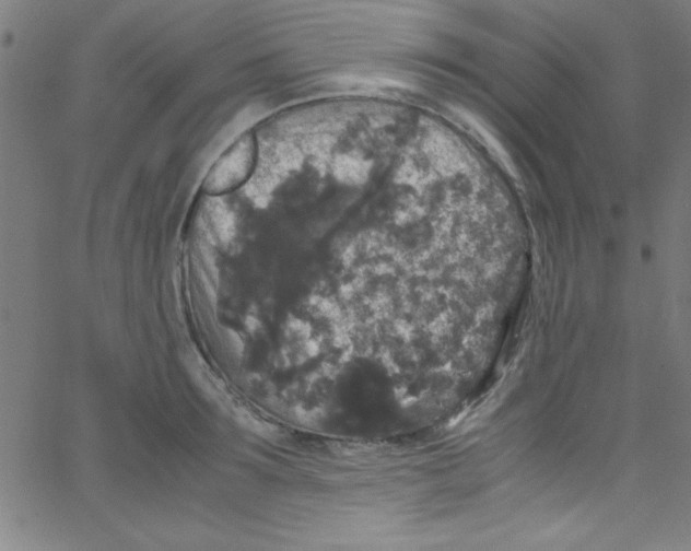 X0000067400899200604281905