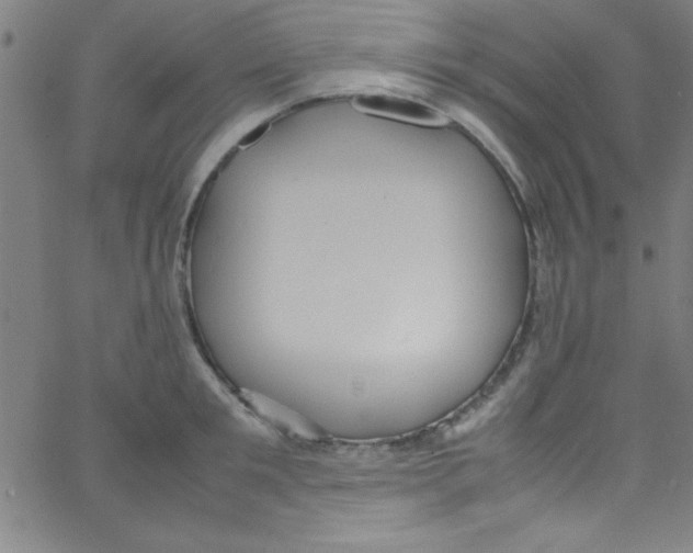 X0000067400901200604281905