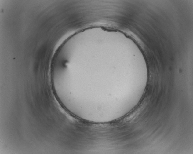 X0000067400902200604281905