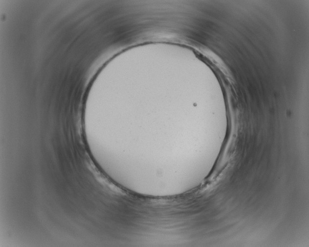 X0000067400904200604281904