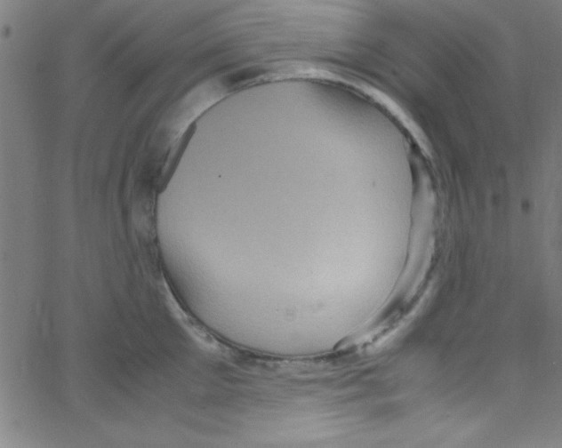 X0000067400905200604281904