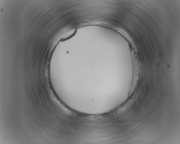 X0000067400906200604281904