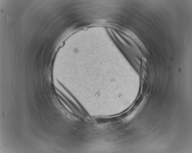 X0000067400908200604281904