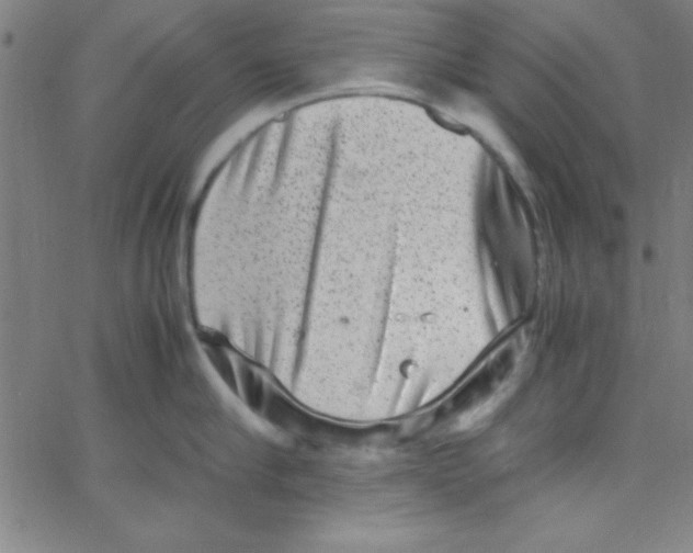 X0000067400910200604281904