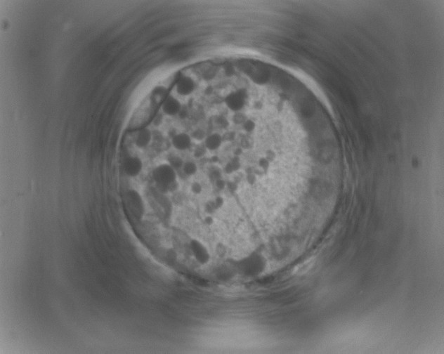 X0000067400911200604281904