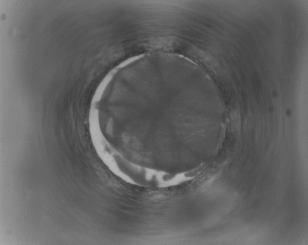 X0000067400913200604281904