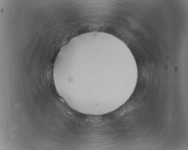 X0000067400914200604281904