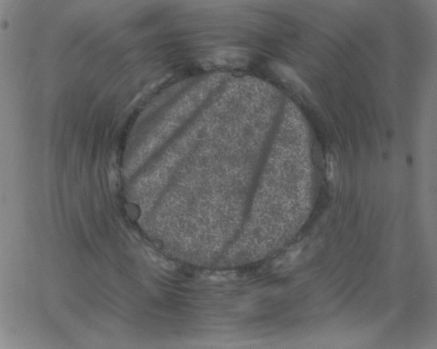 X0000067400915200604281904