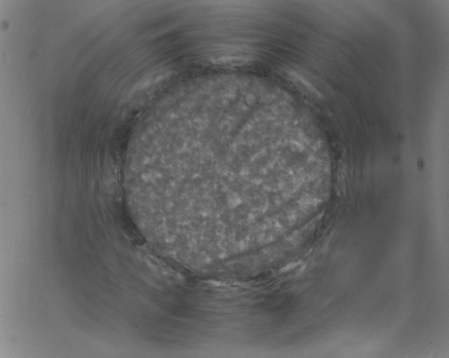 X0000067400917200604281904