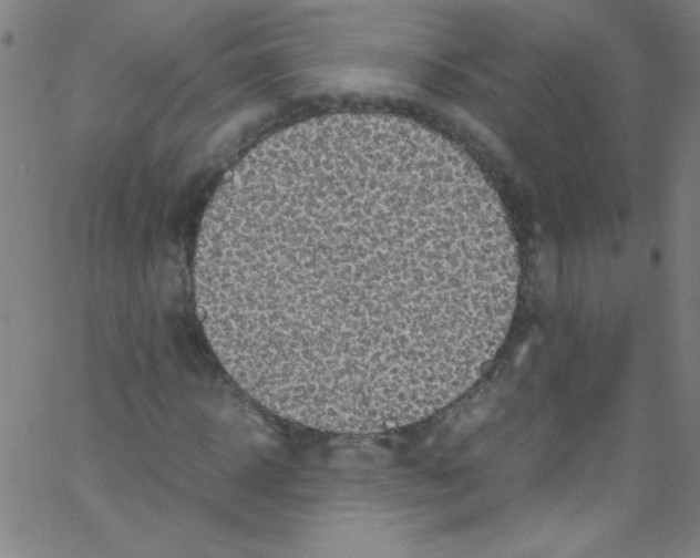 X0000067400918200604281904