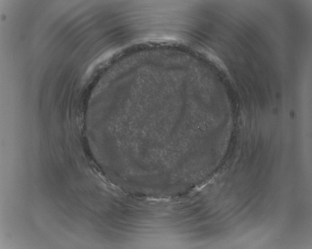 X0000067400920200604281904