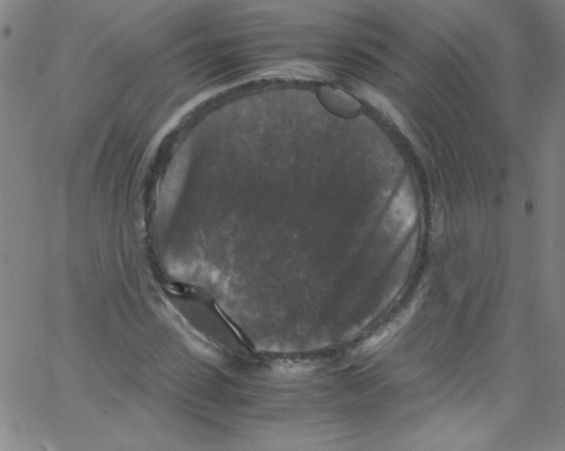 X0000067400923200604281904