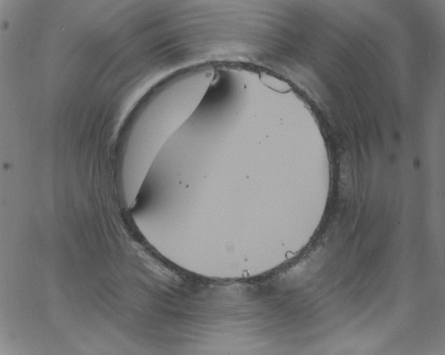 X0000067400926200604281904