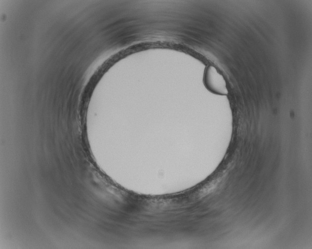 X0000067400927200604281904