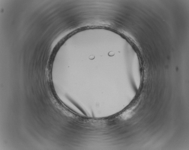 X0000067400928200604281904