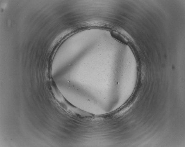 X0000067400930200604281904