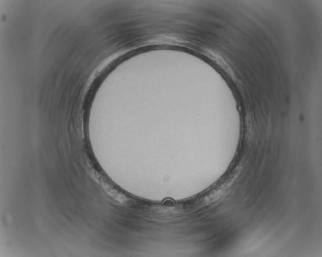 X0000067400931200604281904