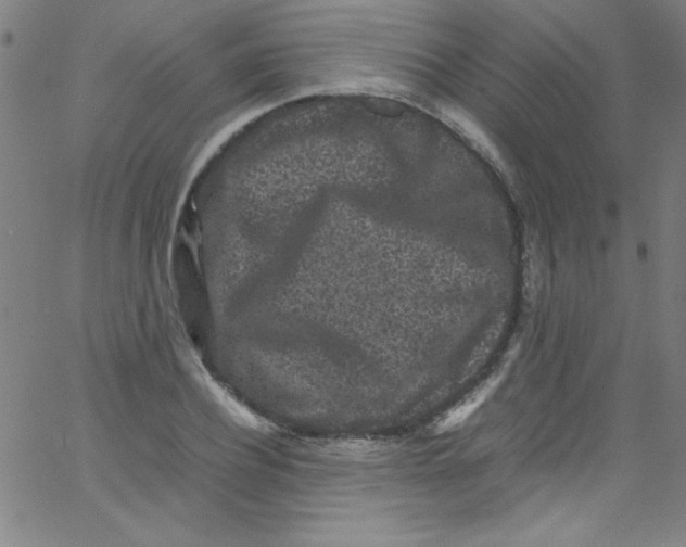 X0000067400932200604281904