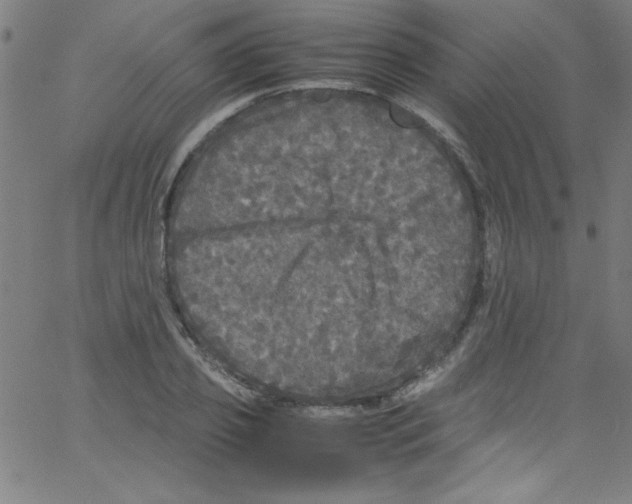 X0000067400933200604281904