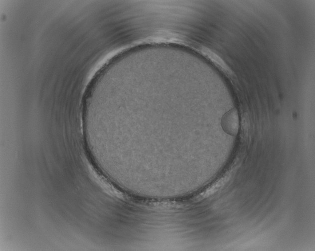 X0000067400934200604281904