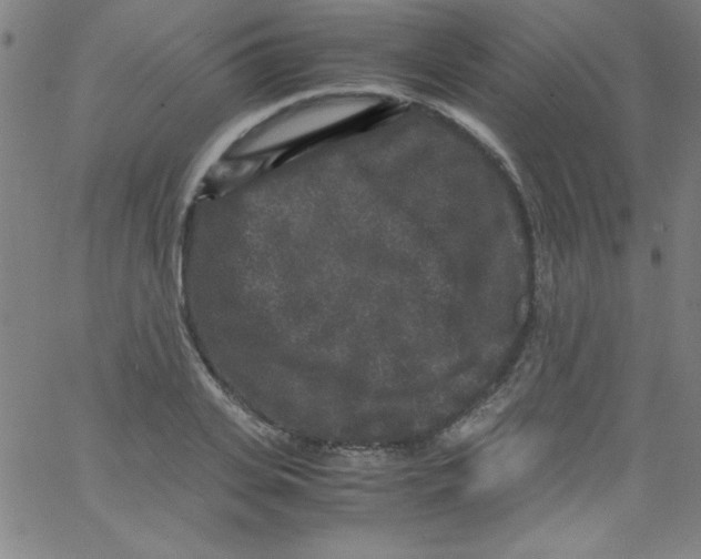 X0000067400935200604281904