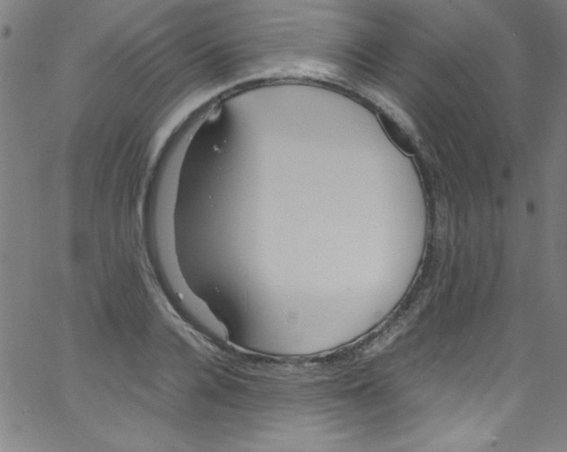 X0000067400936200604281904