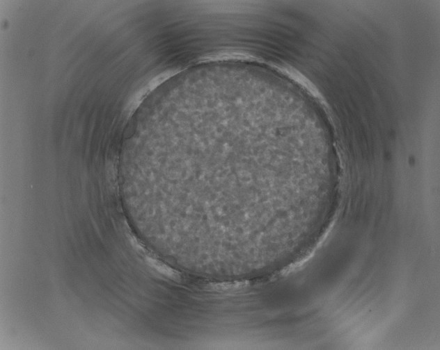 X0000067400937200604281904