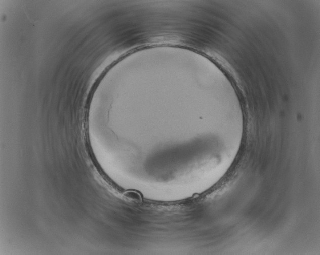 X0000067400941200604281904