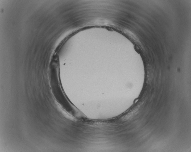 X0000067400942200604281904