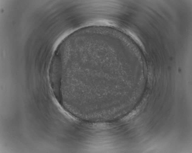 X0000067400944200604281904