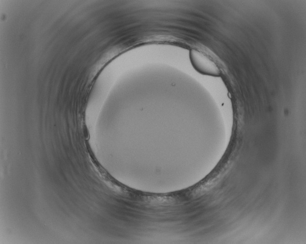 X0000067400945200604281904