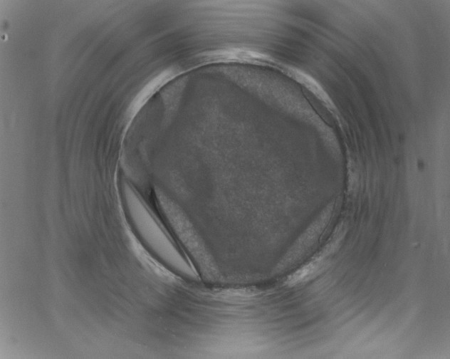 X0000067400946200604281904