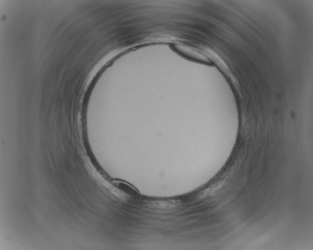 X0000067400947200604281904