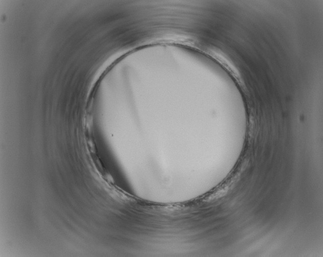 X0000067400948200604281904