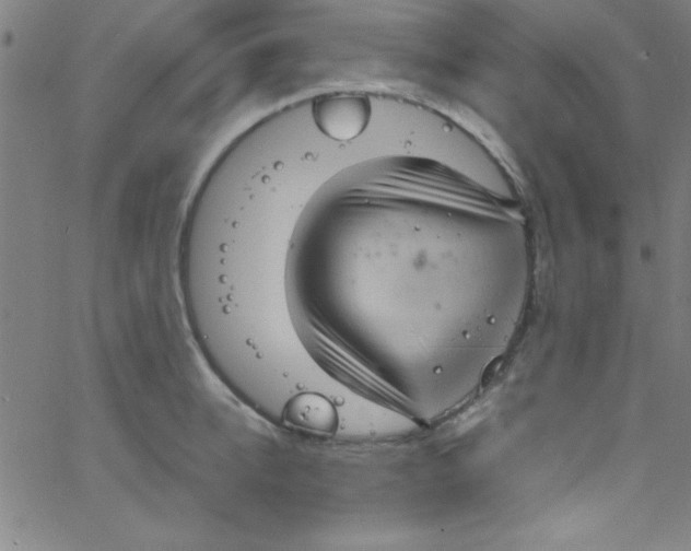 X0000067400950200604281904