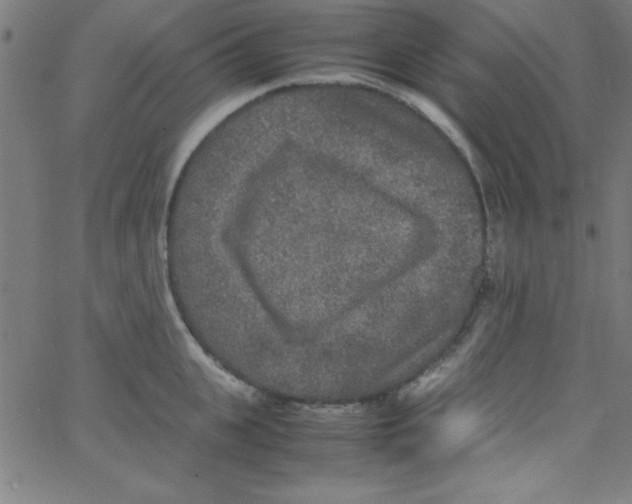 X0000067400951200604281904