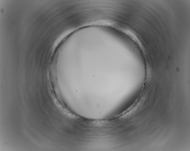 X0000067400952200604281904